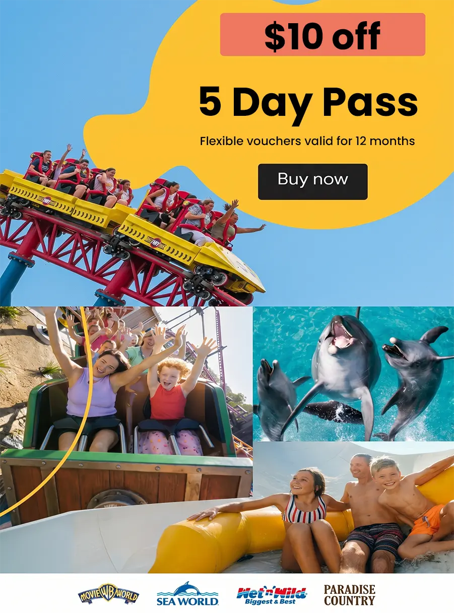 Thrilling rollercoasters swimming dolphins and a family on a water slide for a Gold Coast theme park holiday